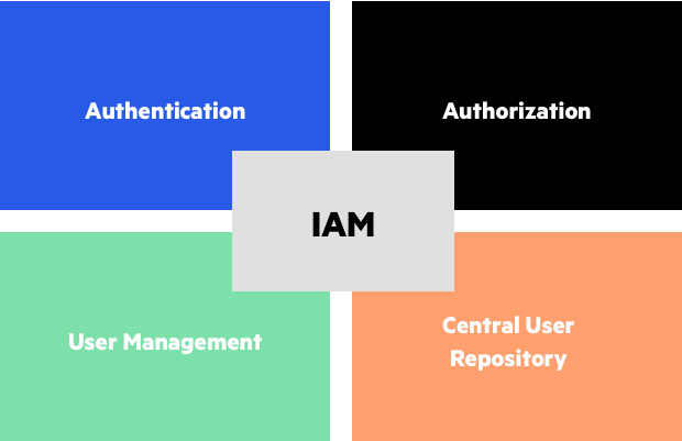 identity-and-access-management schema
