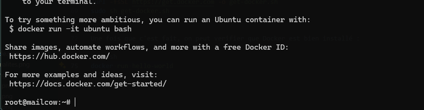 Docker inst